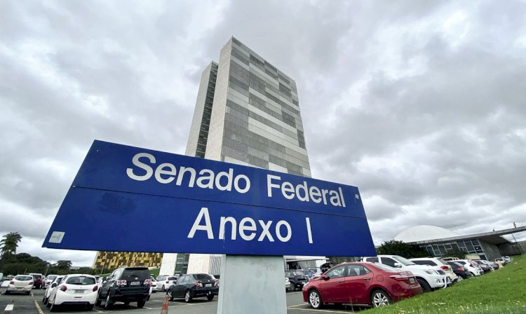 Comissão de Relações Exteriores do Senado tem nova presidente